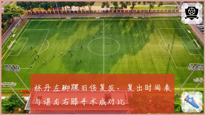 林丹左脚踝旧伤复发,复出时间表与谌龙右膝手术成对比