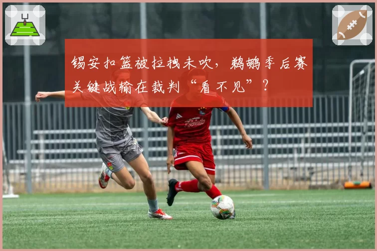 锡安扣篮被拉拽未吹,鹈鹕季后赛关键战输在裁判“看不见”?