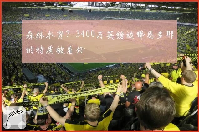 森林水货？3400万英镑边锋恩多耶的特质被看好