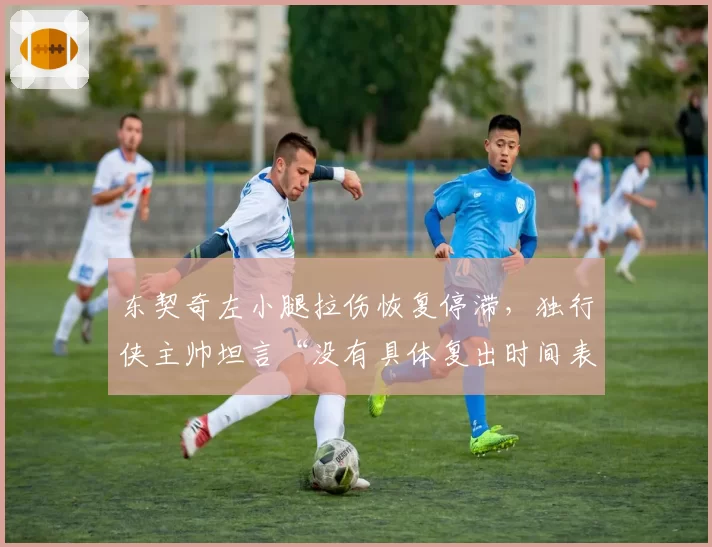 东契奇左小腿拉伤恢复停滞，独行侠主帅坦言“没有具体复出时间表”